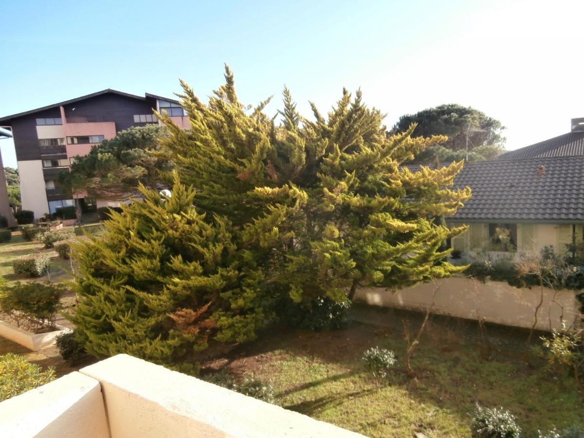 Appartement Renove Avec Balcon, Proche Plage Et Marche - 4 Pers, Calme & Confort A Seignosse - Fr-1-239-460 외부 사진