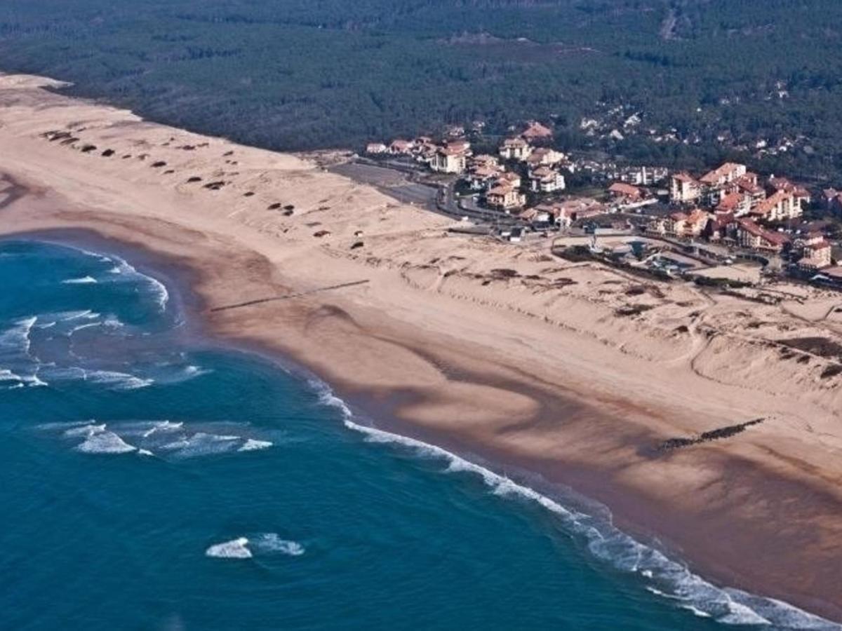Appartement Renove Avec Balcon, Proche Plage Et Marche - 4 Pers, Calme & Confort A Seignosse - Fr-1-239-460 외부 사진